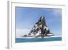 Point Wild, Elephant Island, South Shetland Islands, Antarctica, Polar Regions-Michael Nolan-Framed Photographic Print