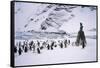 Point Wild, One of the Most Historic Locations in the Antarctic, Antarctica-Geoff Renner-Framed Stretched Canvas