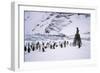 Point Wild, One of the Most Historic Locations in the Antarctic, Antarctica-Geoff Renner-Framed Photographic Print