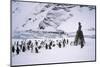 Point Wild, One of the Most Historic Locations in the Antarctic, Antarctica-Geoff Renner-Mounted Premium Photographic Print