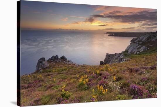Pointe Du Van, Brittany, France. Blooms on Pointe Du Van Cliffs-ClickAlps-Stretched Canvas