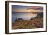 Pointe Du Van, Brittany, France. Blooms on Pointe Du Van Cliffs-ClickAlps-Framed Photographic Print