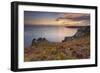 Pointe Du Van, Brittany, France. Blooms on Pointe Du Van Cliffs-ClickAlps-Framed Photographic Print