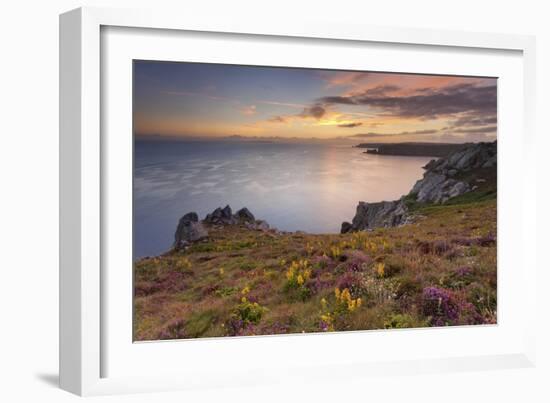 Pointe Du Van, Brittany, France. Blooms on Pointe Du Van Cliffs-ClickAlps-Framed Photographic Print