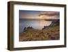 Pointe Du Van, Brittany, France. Blooms on Pointe Du Van Cliffs-ClickAlps-Framed Photographic Print