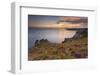 Pointe Du Van, Brittany, France. Blooms on Pointe Du Van Cliffs-ClickAlps-Framed Photographic Print