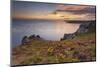 Pointe Du Van, Brittany, France. Blooms on Pointe Du Van Cliffs-ClickAlps-Mounted Photographic Print