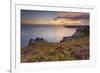 Pointe Du Van, Brittany, France. Blooms on Pointe Du Van Cliffs-ClickAlps-Framed Photographic Print