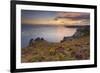 Pointe Du Van, Brittany, France. Blooms on Pointe Du Van Cliffs-ClickAlps-Framed Photographic Print