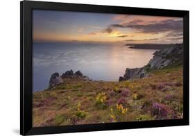 Pointe Du Van, Brittany, France. Blooms on Pointe Du Van Cliffs-ClickAlps-Framed Photographic Print