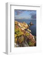 Pointe Du Van, Brittany, France. Heather Flowering Illuminated by First Sun Rays-ClickAlps-Framed Photographic Print