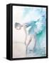 Pointe Shoes-Aimee Del Valle-Framed Stretched Canvas