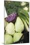 Pointed Cabbage and Half a Red Cabbage in Crate-Foodcollection-Mounted Photographic Print