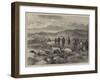 Pointer and Setter Grouse Trials at Rhiwlas, North Wales, General View of the Ground-Harrison William Weir-Framed Giclee Print