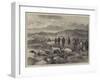 Pointer and Setter Grouse Trials at Rhiwlas, North Wales, General View of the Ground-Harrison William Weir-Framed Giclee Print