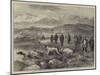 Pointer and Setter Grouse Trials at Rhiwlas, North Wales, General View of the Ground-Harrison William Weir-Mounted Giclee Print