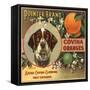 Pointer Brand - Azusa, California - Citrus Crate Label-Lantern Press-Framed Stretched Canvas