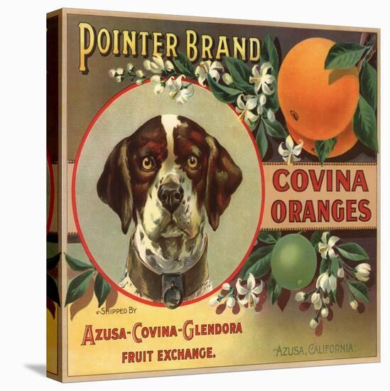 Pointer Brand - Azusa, California - Citrus Crate Label-Lantern Press-Stretched Canvas