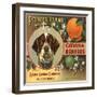 Pointer Brand - Azusa, California - Citrus Crate Label-Lantern Press-Framed Art Print