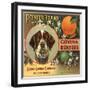 Pointer Brand - Azusa, California - Citrus Crate Label-Lantern Press-Framed Art Print