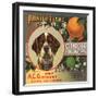 Pointer Brand - Glendora, California - Citrus Crate Label-Lantern Press-Framed Art Print