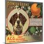 Pointer Brand - Glendora, California - Citrus Crate Label-Lantern Press-Mounted Art Print