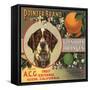 Pointer Brand - Glendora, California - Citrus Crate Label-Lantern Press-Framed Stretched Canvas