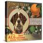 Pointer Brand - Glendora, California - Citrus Crate Label-Lantern Press-Stretched Canvas