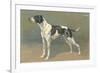 Pointer-null-Framed Premium Giclee Print