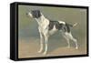 Pointer-null-Framed Stretched Canvas