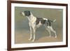 Pointer-null-Framed Art Print