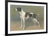 Pointer-null-Framed Art Print