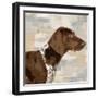 Pointer-Keri Rodgers-Framed Art Print