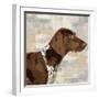 Pointer-Keri Rodgers-Framed Art Print