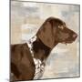 Pointer-Keri Rodgers-Mounted Art Print