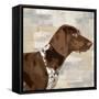 Pointer-Keri Rodgers-Framed Stretched Canvas