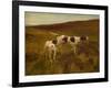 Pointers in a Landscape (Oil on Canvas)-Thomas Blinks-Framed Giclee Print