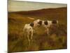 Pointers in a Landscape (Oil on Canvas)-Thomas Blinks-Mounted Giclee Print