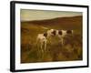 Pointers in a Landscape (Oil on Canvas)-Thomas Blinks-Framed Giclee Print