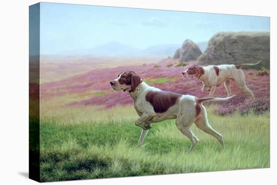 Pointers in a Landscape-Harrington Bird-Stretched Canvas
