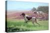 Pointers in a Landscape-Harrington Bird-Stretched Canvas