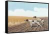 Pointers in Field-null-Framed Stretched Canvas