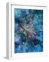 Pointing the Way vertical-Aleta Pippin-Framed Giclee Print