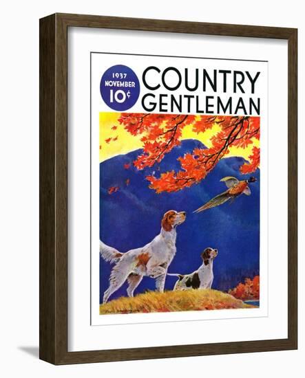 "Pointing to the Pheasant," Country Gentleman Cover, November 1, 1937-Paul Bransom-Framed Giclee Print