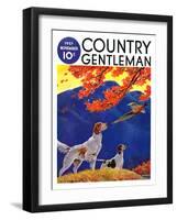 "Pointing to the Pheasant," Country Gentleman Cover, November 1, 1937-Paul Bransom-Framed Giclee Print