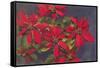 Pointsettias-null-Framed Stretched Canvas