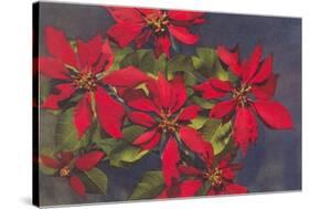 Pointsettias-null-Stretched Canvas