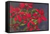 Pointsettias-null-Framed Stretched Canvas