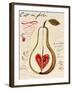 Poire III-Susan Gillette-Framed Giclee Print