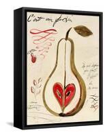 Poire III-Susan Gillette-Framed Stretched Canvas